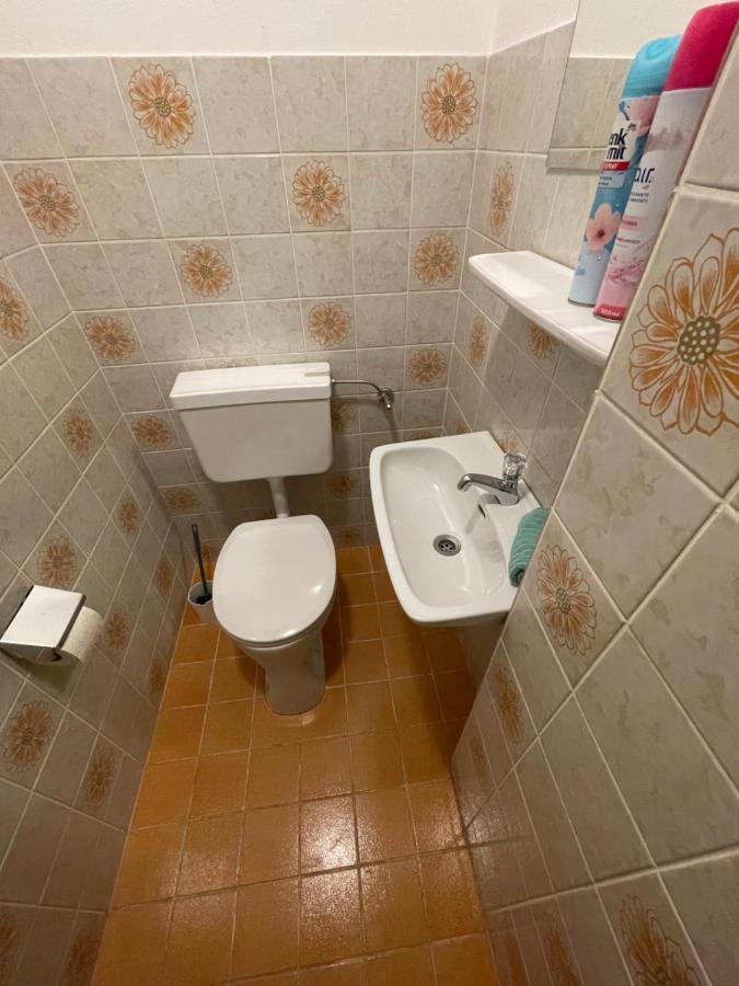 Ferienwohnung Maxi Maishofen Luaran gambar